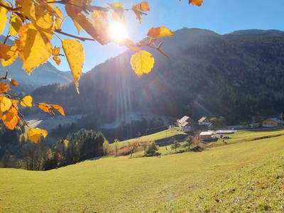 Bild 36 aus  Köck-Chalet