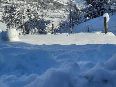 Bild 49 aus  Kaserer