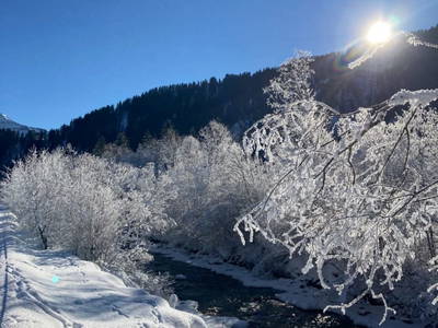 Bild 114 aus  Ferienbauernhof Kohler