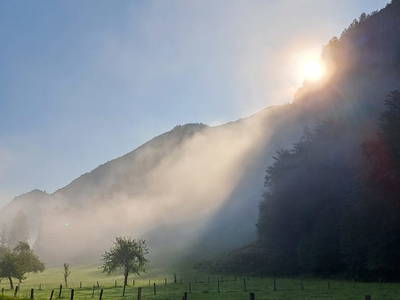 Bild 82 aus  Prentnergut