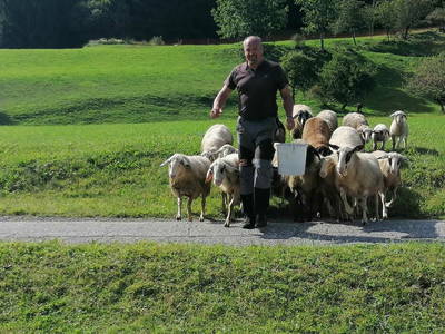 Bild 2 aus  Haus mit Herz