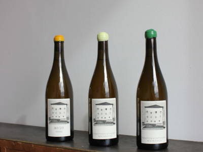 Bild 106 aus  Trattnachtaler Weinhaus