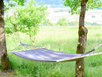 Bild 116 aus  Landhaus Sofie