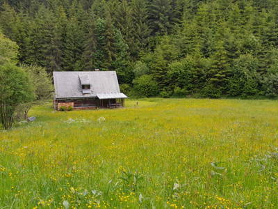 Bild 11 aus  Möschbauer