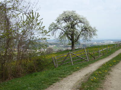 Bild 17 aus  Vitalbauernhof Zulehen