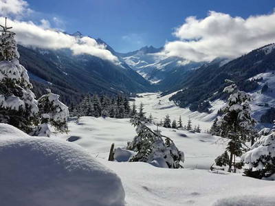 Bild 220 aus  Haus Alpengruss