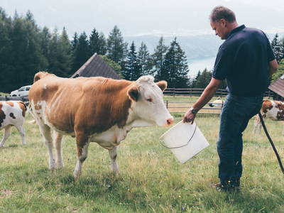 Bild 20 aus  Götzfried Almhütte