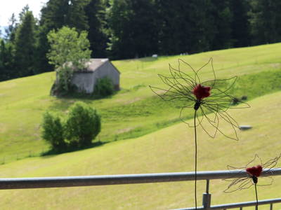 Bild 193 aus  Familienbauernhof Bereuter