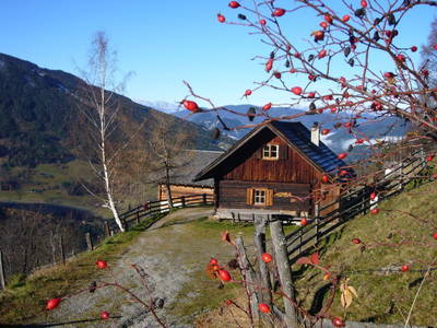 Bild 12 aus  Grahbergalm