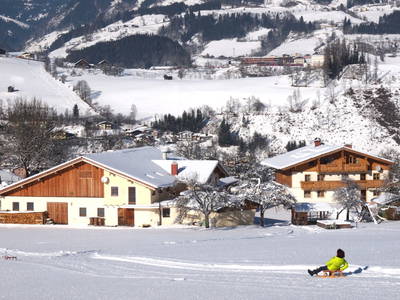 Bild 58 aus  Taxengut