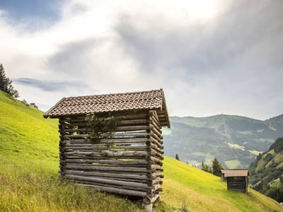 Bild 108 aus  Wandlehenhof