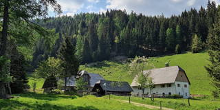 Grubhofalm aus Gaal