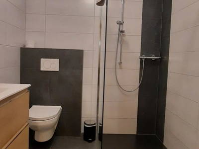 Bild 47 aus  Freihof  Fam. Tillian