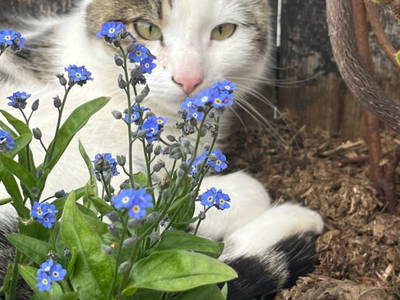 Bild 63 aus  Ascherhof