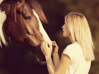 Bild 91 aus  Roiderhof am Irrsee