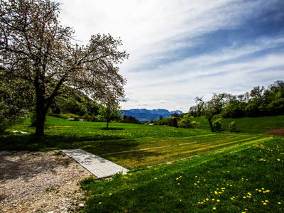 Bild 72 aus Ferienhof Götschhof
