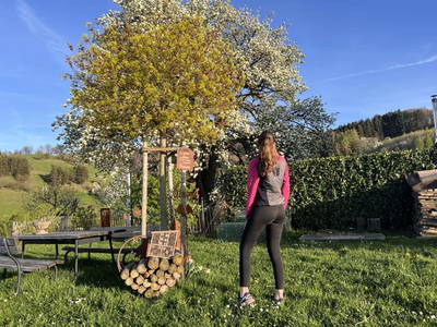 Bild 193 aus  Landhaus  Aigner 