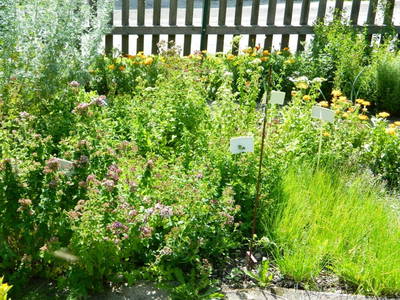 Bild 52 aus  Tengghof - Ferienhäuser