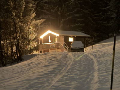 Bild 35 aus  Schwammerlhütte