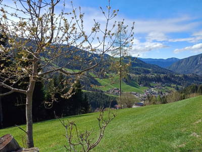 Bild 5 aus Vorderzettn
