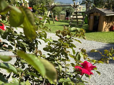 Bild 98 aus  Vorderkasbichlhof - Pension Schmiderer