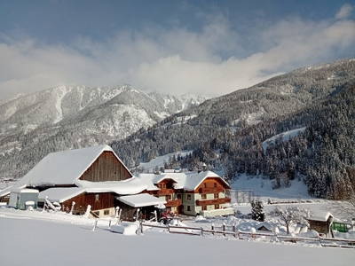 Bild 165 aus  Hoanz´nhof