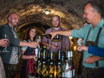 Bild 104 aus  Winzerhof Küssler, Weinviertel