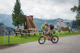 Bergbauernhof Irxner - Urlaub am Bauernhof mit Hund aus Pichl-Preunegg