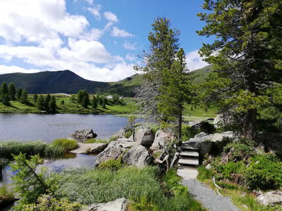 Bild 22 aus  Dreicharhütte