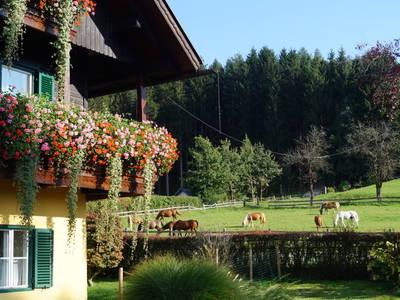 Bild 27 aus  Petritsch-Hof