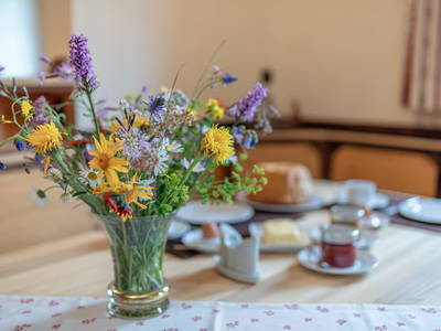 Bild 55 aus  Sandrisser Hütte