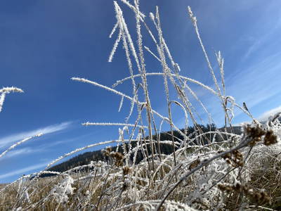 Bild 82 aus  Biohof Kroisleitner