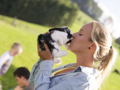 Bild 14 aus  Testhof UaB NÖ