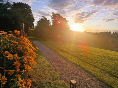 Bild 16 aus  Knoglerhof am Rinser See