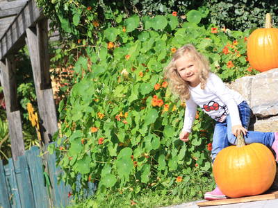 Bild 17 aus  Ferienhof Larrieder Mühle