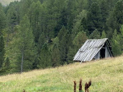 Bild 40 aus  Peitlerhütte