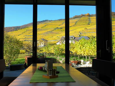 Bild 116 aus  Weingut STRAWANZER Donabaum