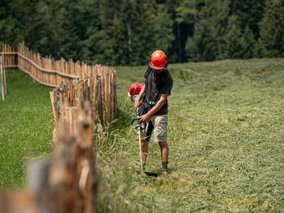 Bild 20 aus  Pircherhof - Adults Only am Biobauernhof