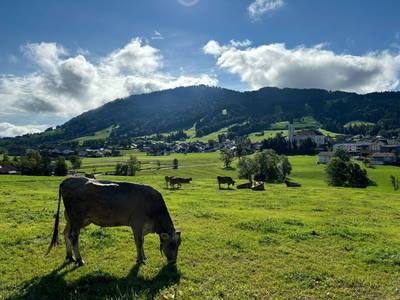 Bild 47 aus Wiesenhof Rusch