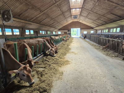 Bild 76 aus  Oranhof