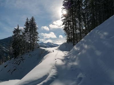 Bild 23 aus  Holzeralm