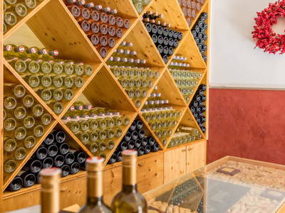 Bild 50 aus  Weingut-Gästehaus Gangl Hildegard