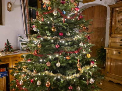 Bild 77 aus  Bruderhof