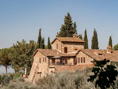 Bild 7 aus  LandSelection Weingut "IL PALAGIO"