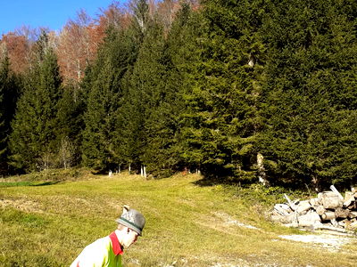 Bild 17 aus Bauernhof Hansenmann