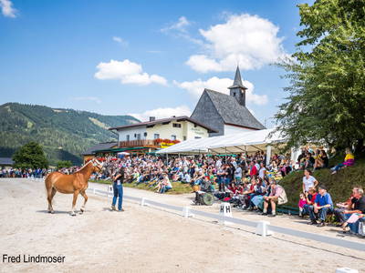 Bild 2 aus  Schaglhof