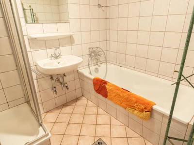 Bild 259 aus  Wolfsbachhütte