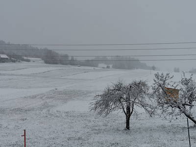 Bild 22 aus  Ferdlhof