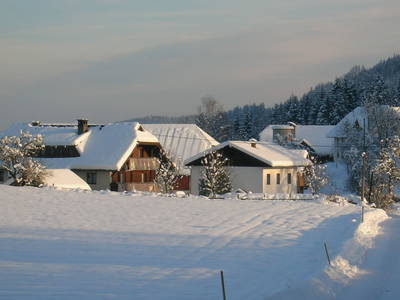 Bild 19 aus  Familienparadies Zeislerhof