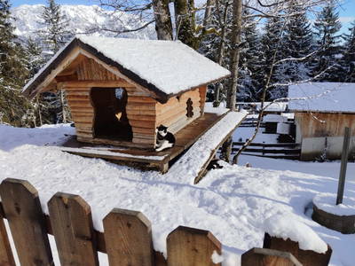 Bild 54 aus  Stegerhof